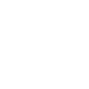 Logo blanco - Wedding planner en Málaga - La Noria de los Sueños